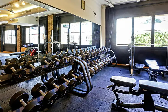 mancuernas gym odyssey