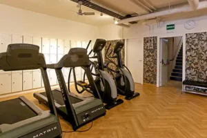 maquinas de cardio odyssey
