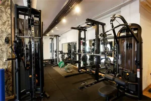 maquinas de fuerza odyssey