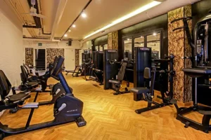 maquinas gym odyssey