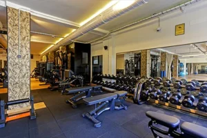 musculación odyssey